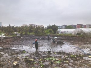 忻府河道鱼塘清淤
